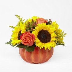 Harvest Traditions Pumpkin -A local Pittsburgh florist for flowers in Pittsburgh. PA